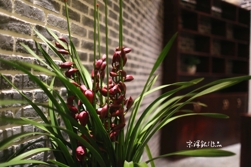 贵阳   东圣老灶火锅（色块设计）-24