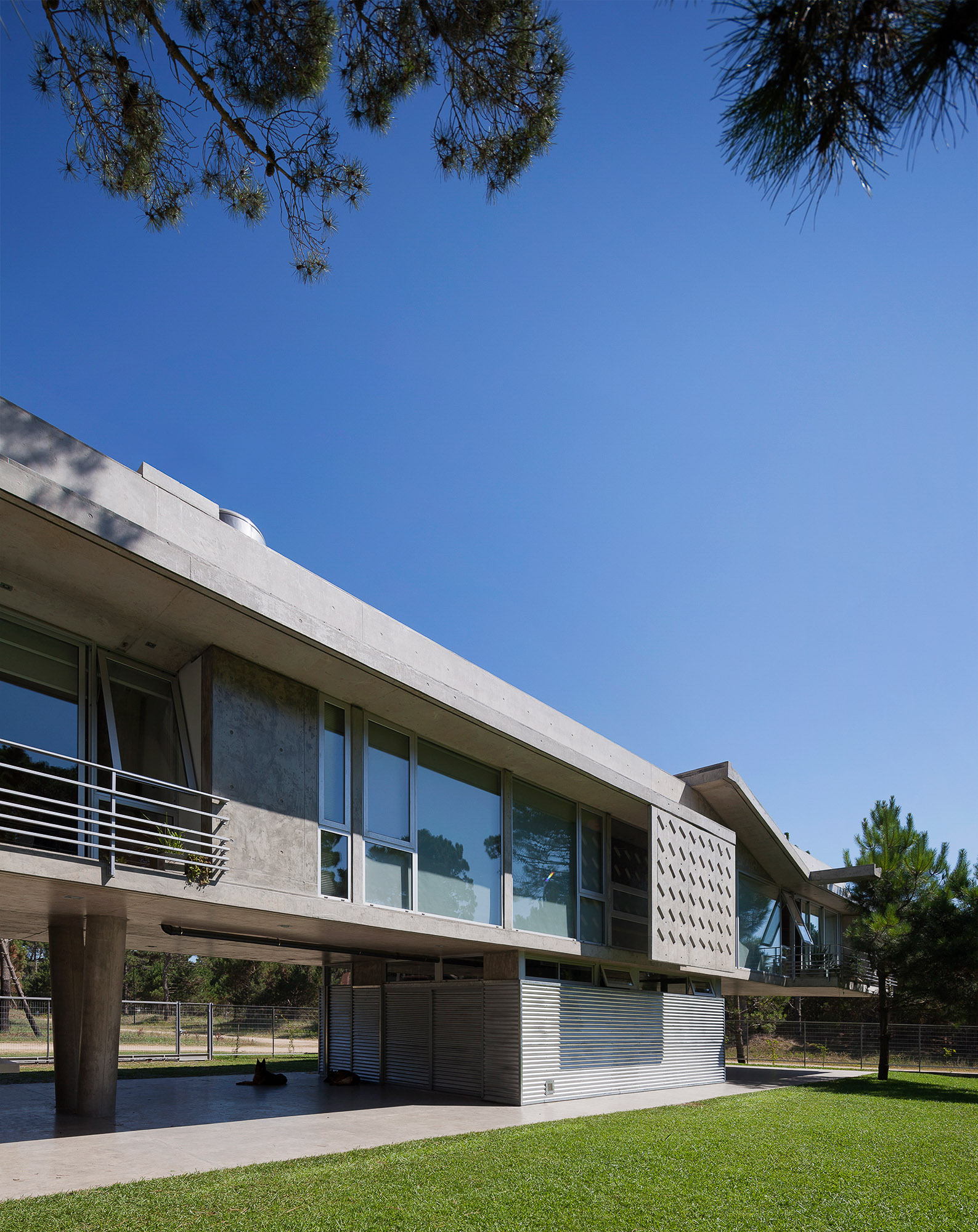 悬浮森林中的宁静家园-25