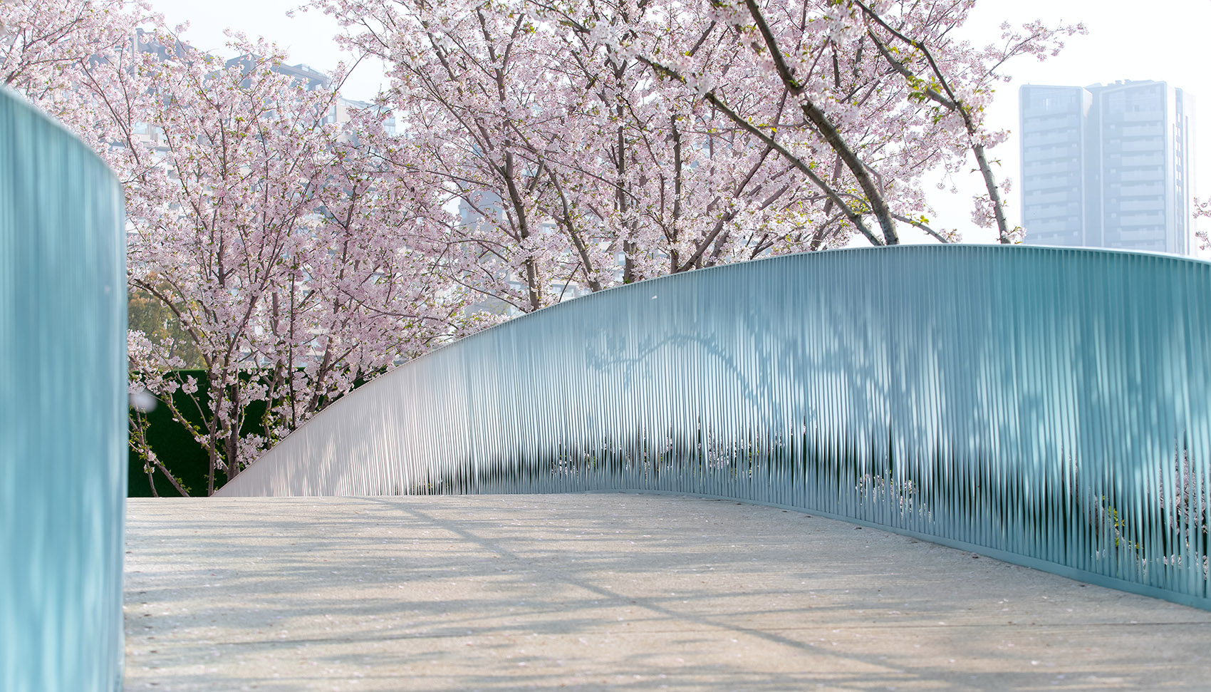 成都麓湖皮划艇航道景观丨中国成都丨纬图设计机构-55