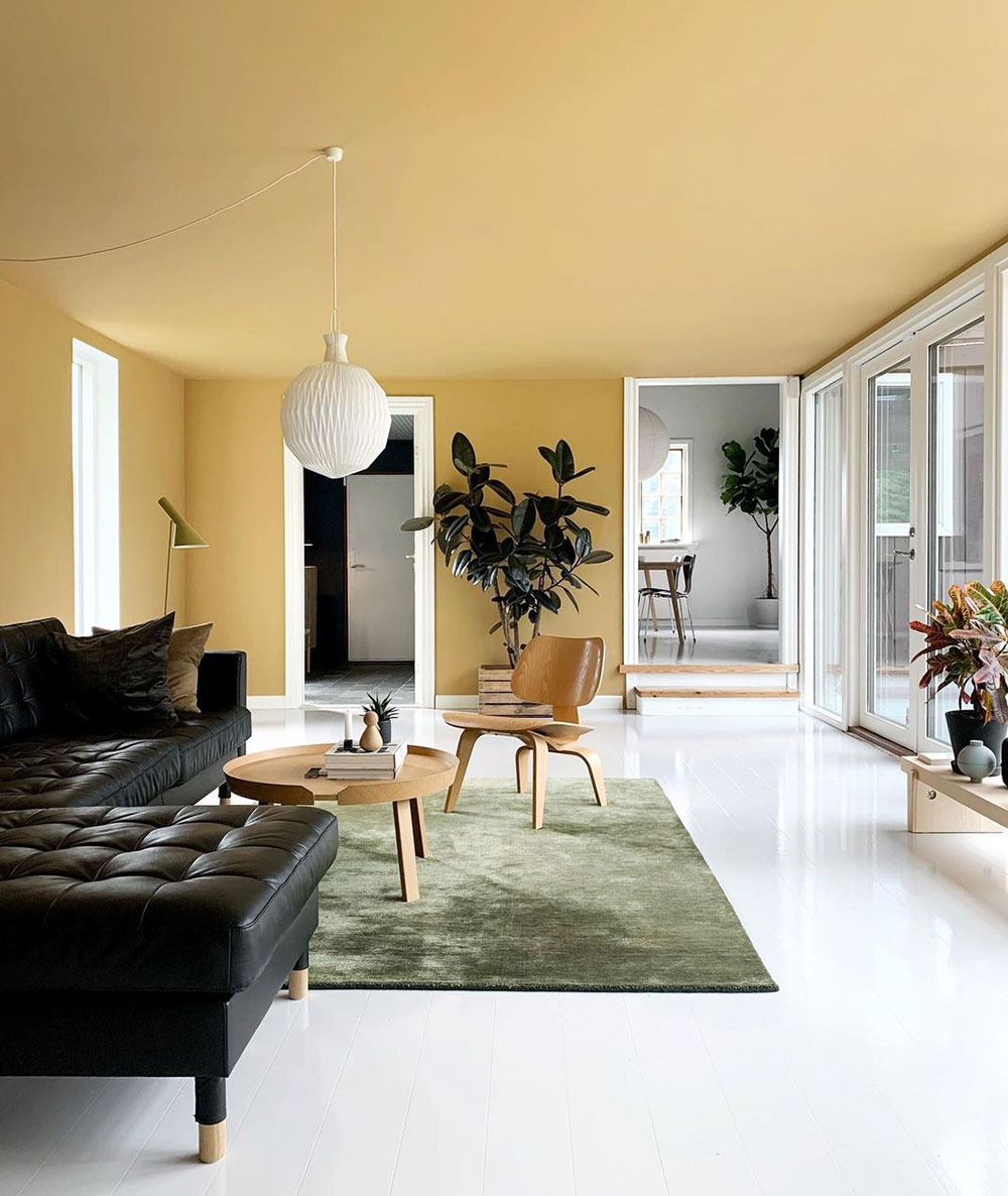 丹麦小屋独特配色，打破传统审美-14