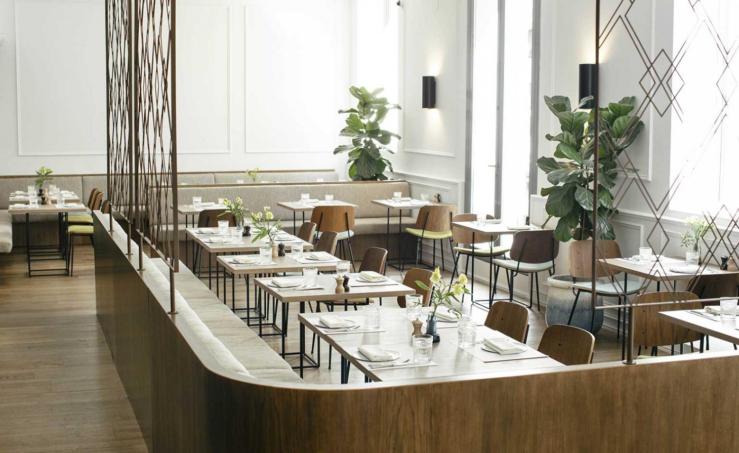 马德里“美丽与诅咒”餐厅-0