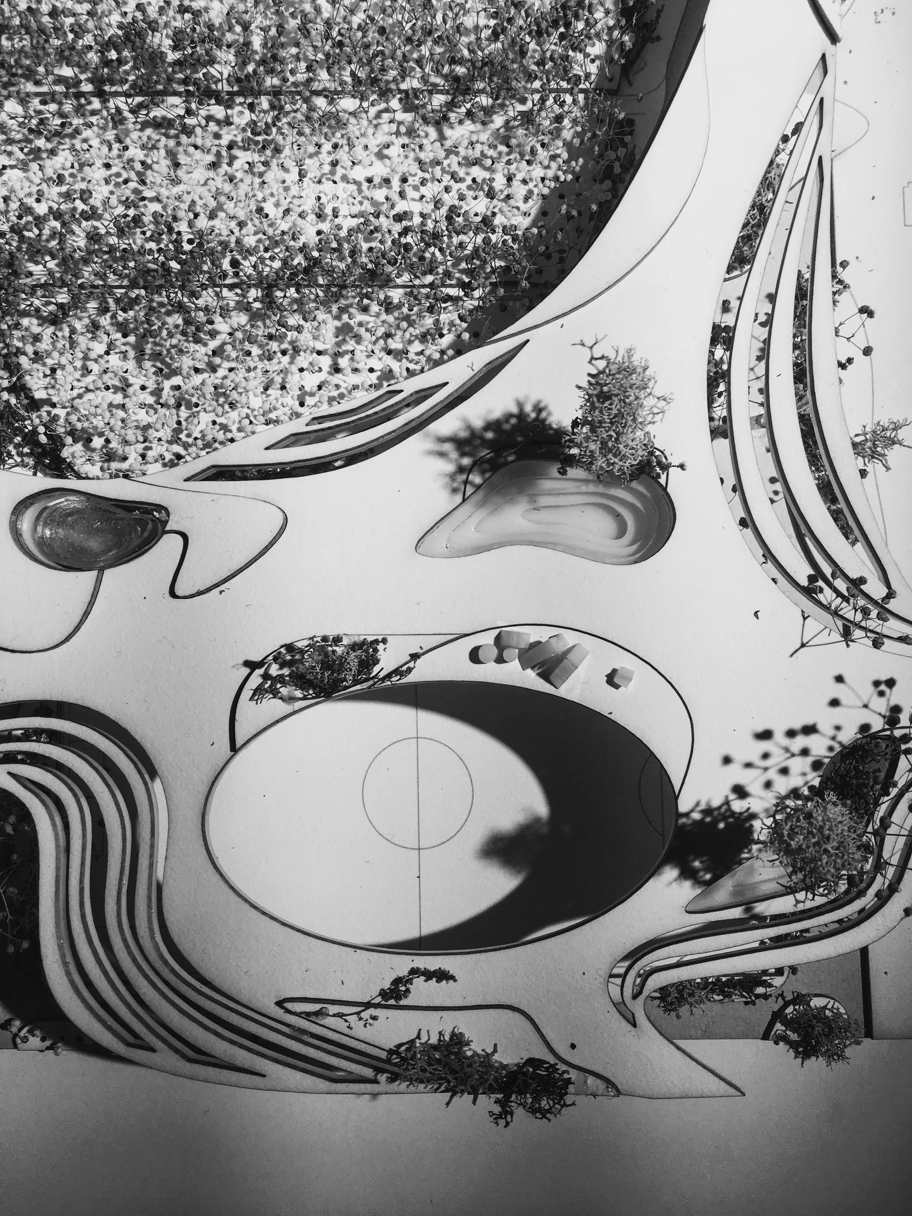 城市树木农场 + 公园丨美国曼哈顿-21