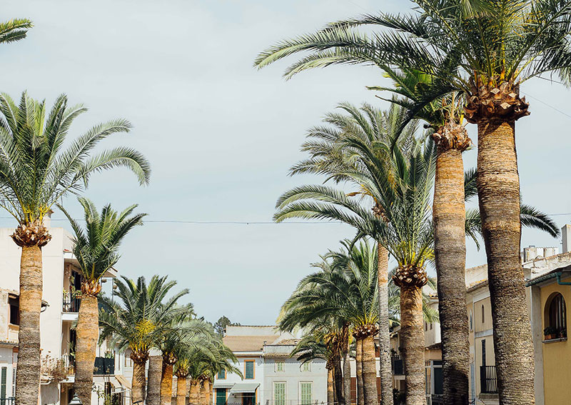 "马略卡岛传统民居,历史与现代的完美融合"-20