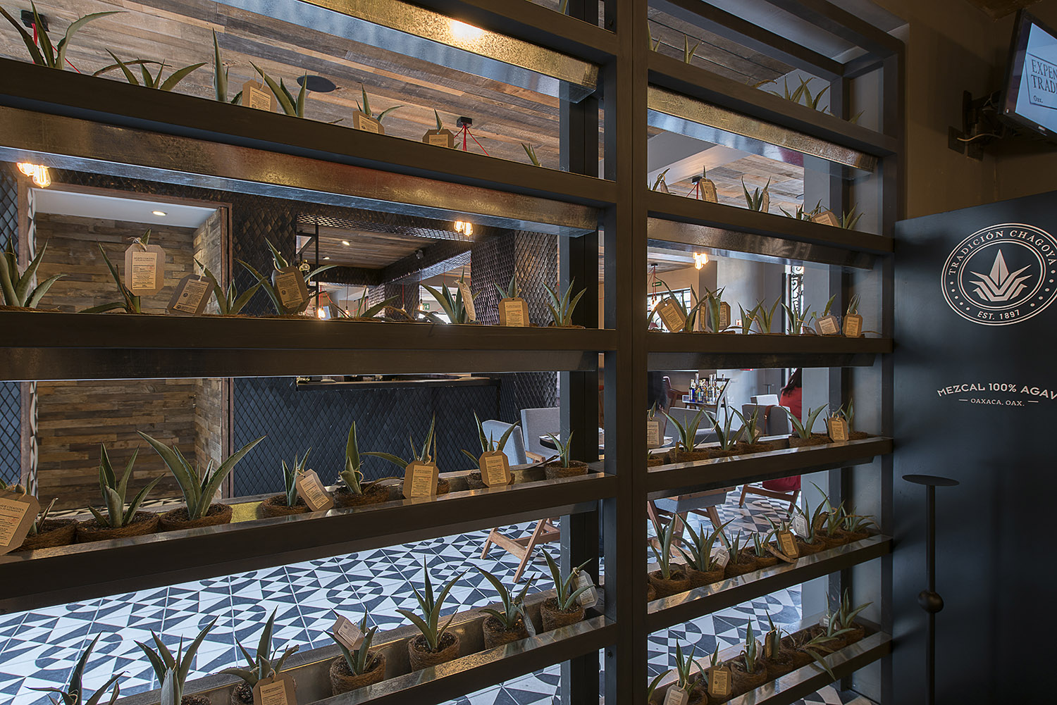 Mezcal酒吧,墨西哥 / EZEQUIELFARCA arquitectura y diseño-17