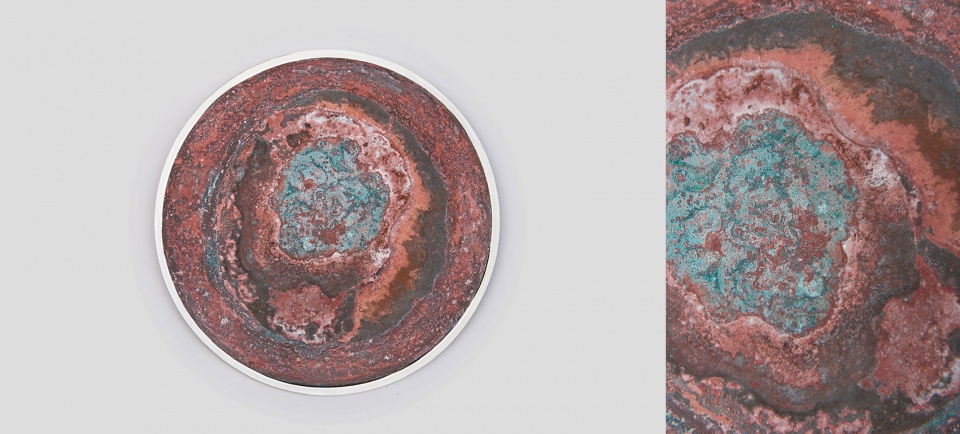 自然生长 · 罗黛诗的铜的生物性探索-34