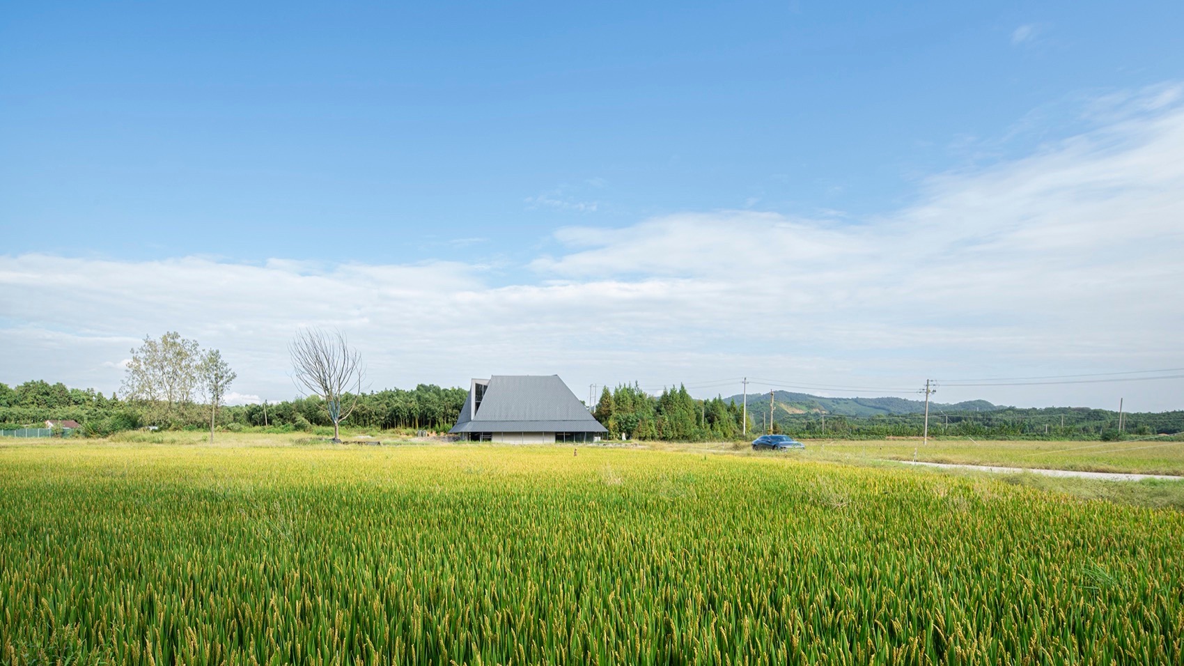 四边庭·文化地理单元实验室丨中国湖州丨ConCom 集良建筑事务所,东南大学建筑设计研究院-20