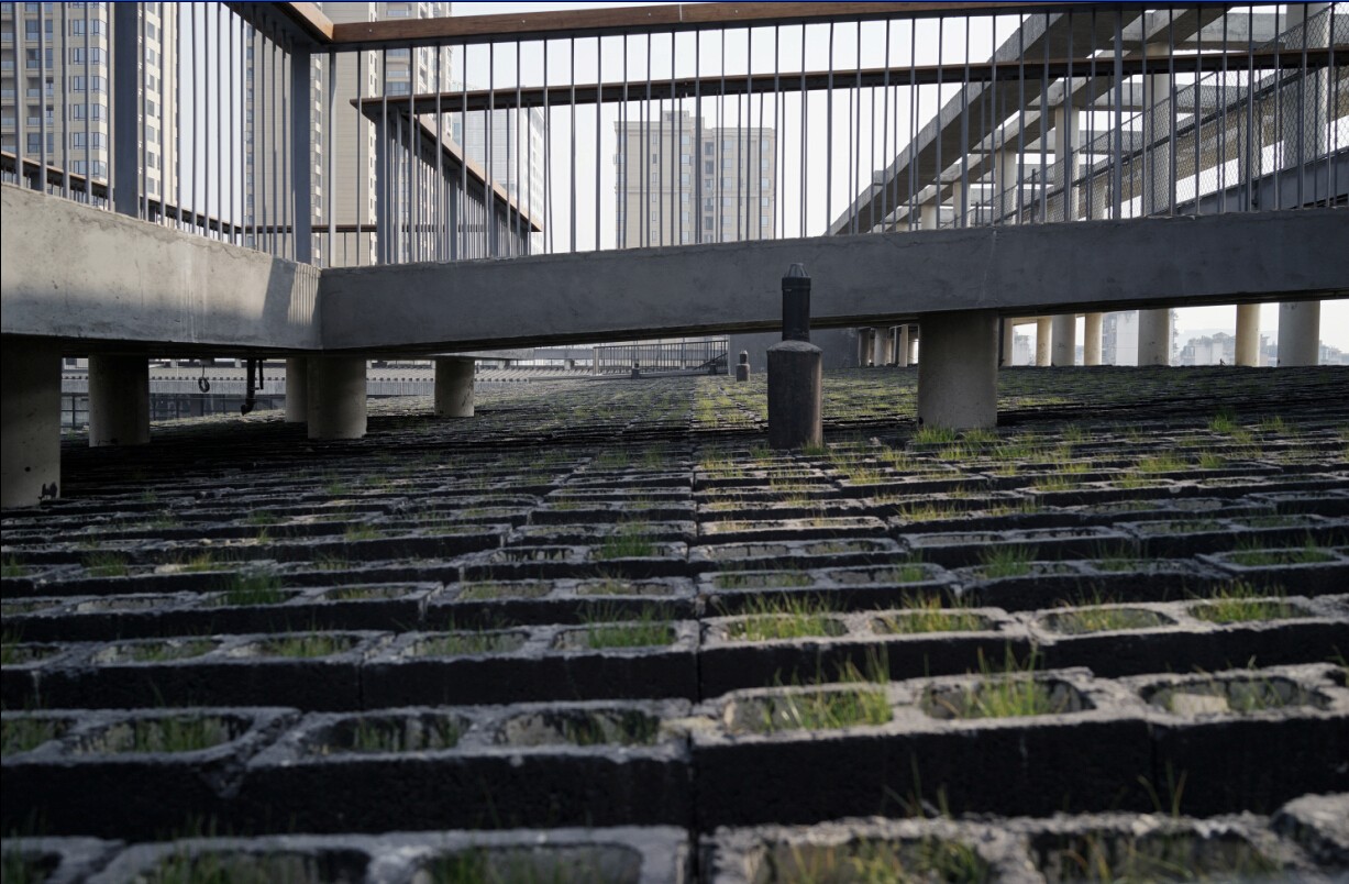 西村大院 | 早已打开的围墙-10