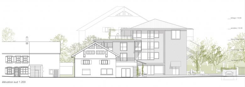 Grand' Rue 住宅与花园丨瑞士丨DGJ Paysages-15