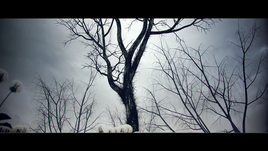 赎回(Redemption)-15