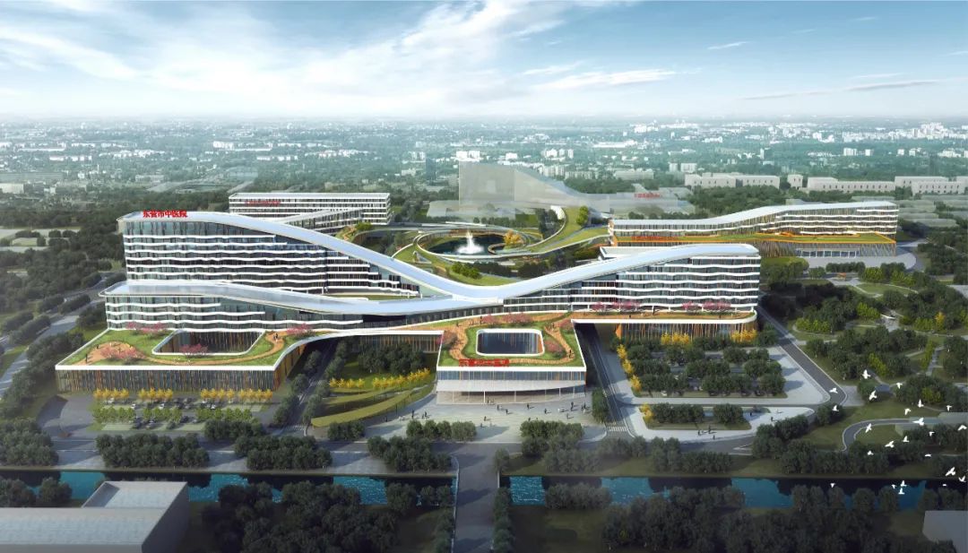 三个医院和一个“大”的梦想丨中国东营-5