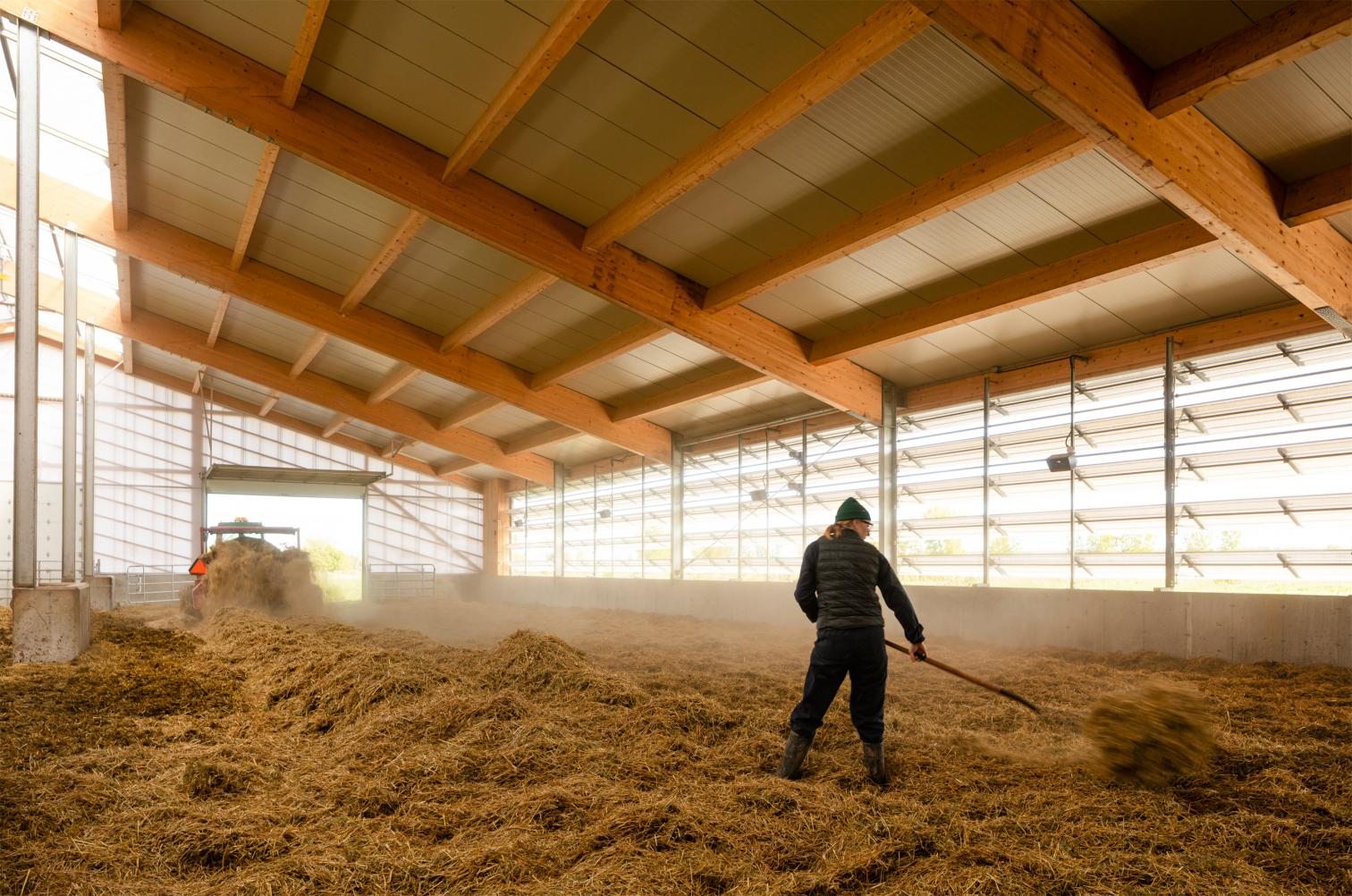 融入自然的奶牛棚设计-12