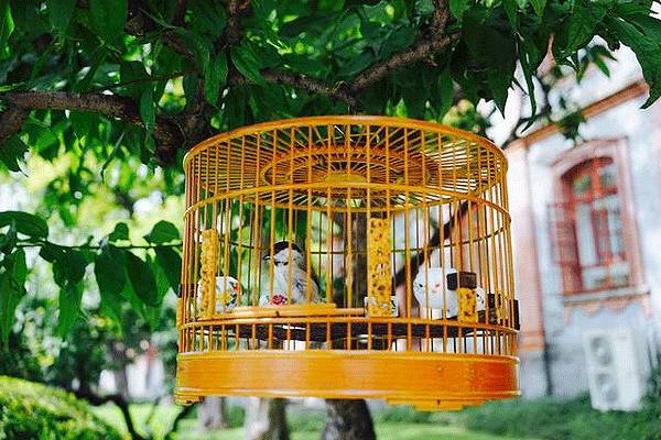 四合院：时光磨不去的，是家的烟火与温度-27