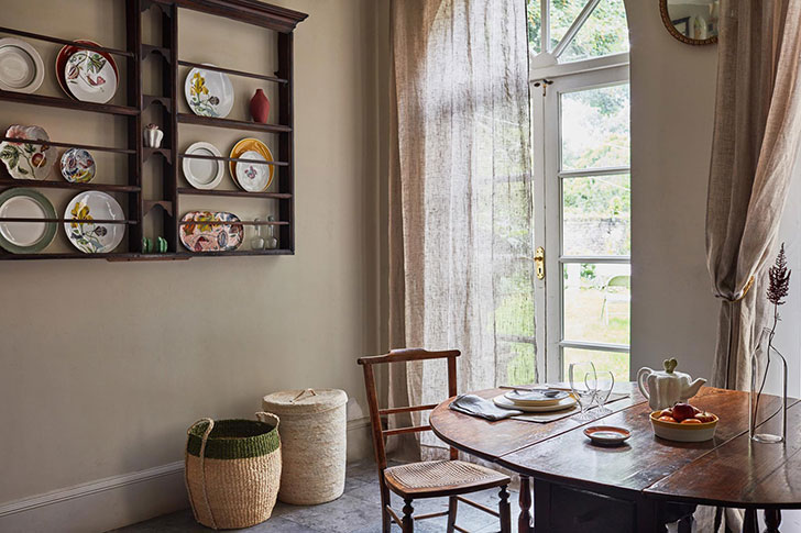 植物秋季系列-9