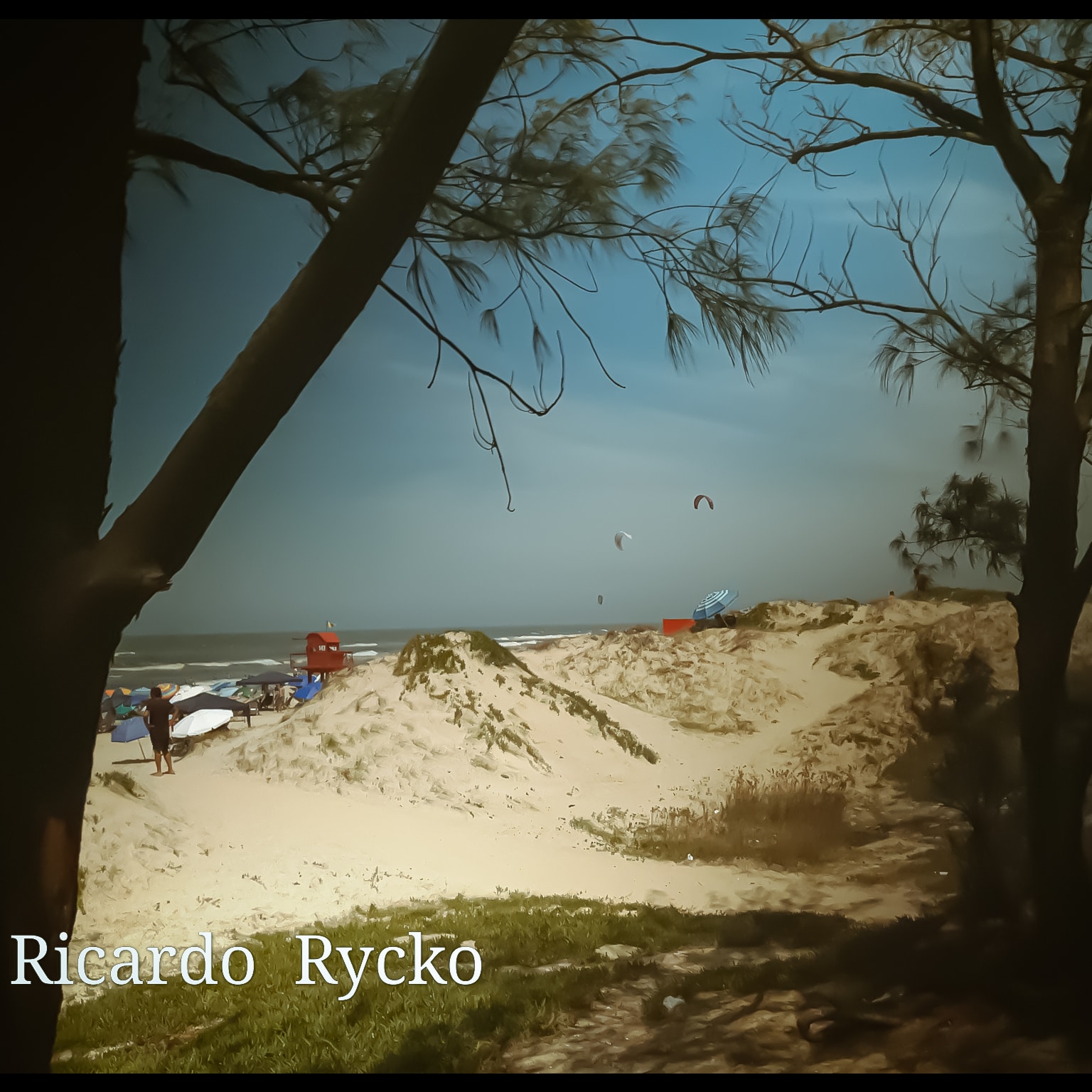 A Diversidade do Sul-6