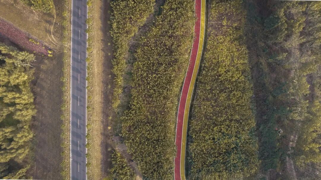 AWARDS|棕榈设计荣获2024“设计河南·美丽乡村”创意设计大赛两项奖项-33