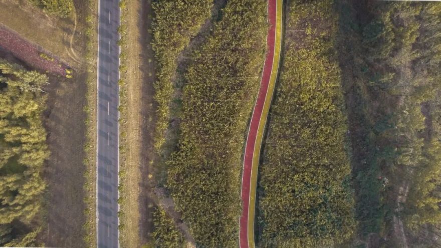 AWARDS|棕榈设计荣获2024“设计河南·美丽乡村”创意设计大赛两项奖项-33