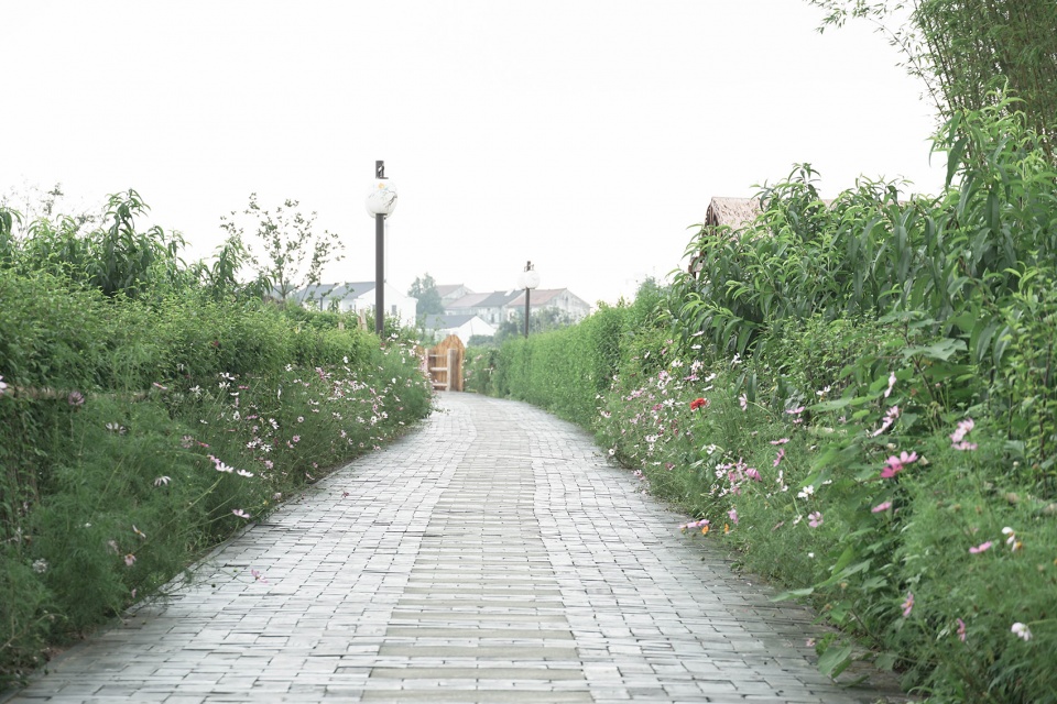 上海“乡村振兴示范村”·吴房村丨中国美术学院风景建筑设计研究总院-47