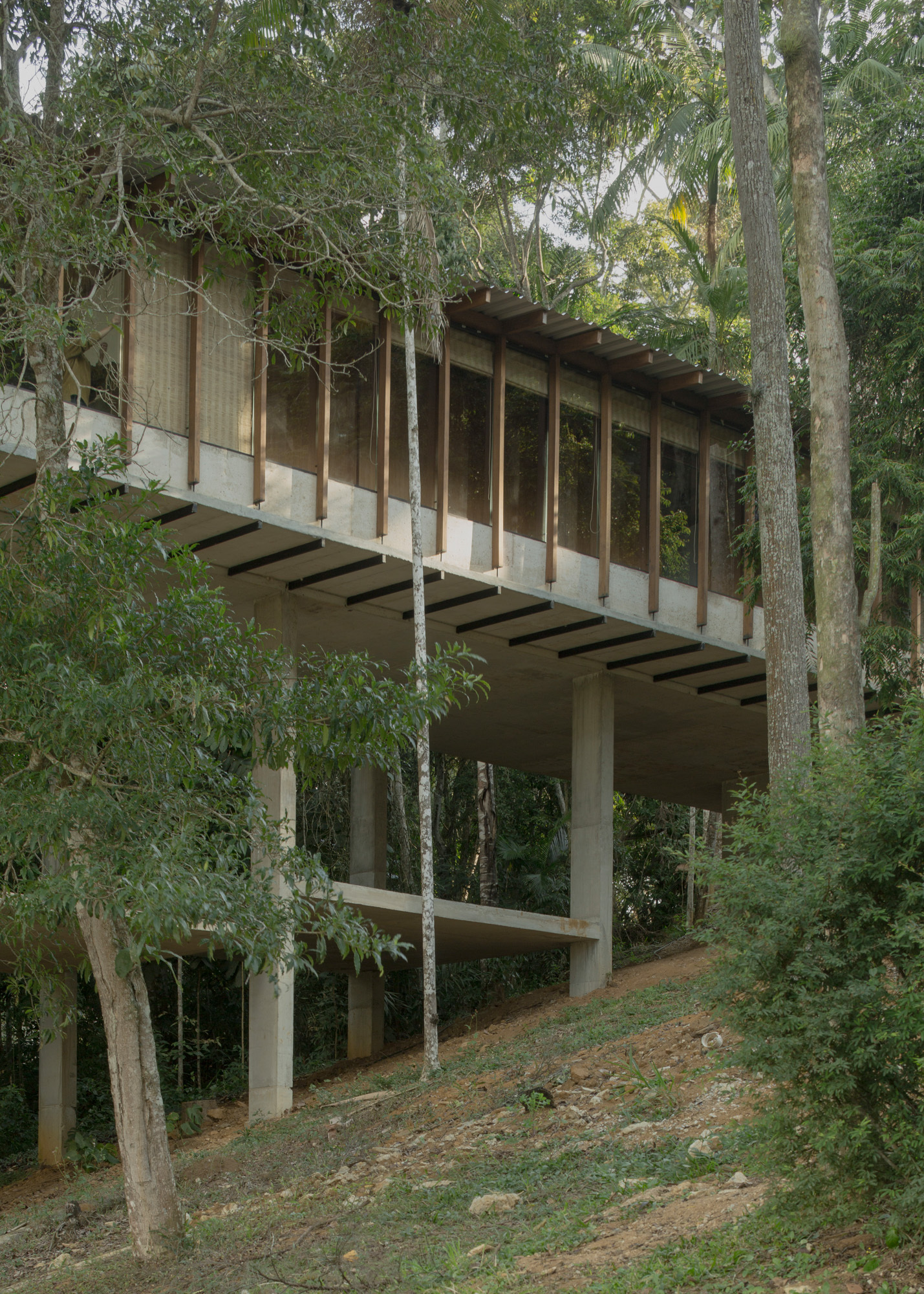 树上的房子丨巴西丨Ayako Arquitetura-11