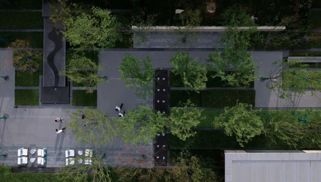 山东济宁金科集美澜湾 | 克制的序列,林泉入境-48