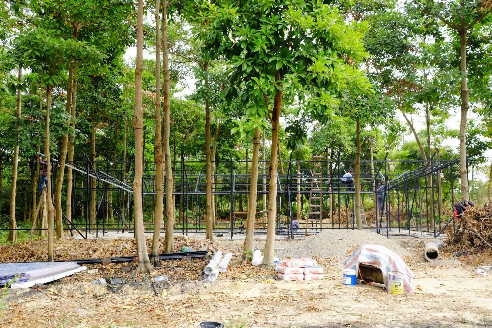 林中亭（2019）-46