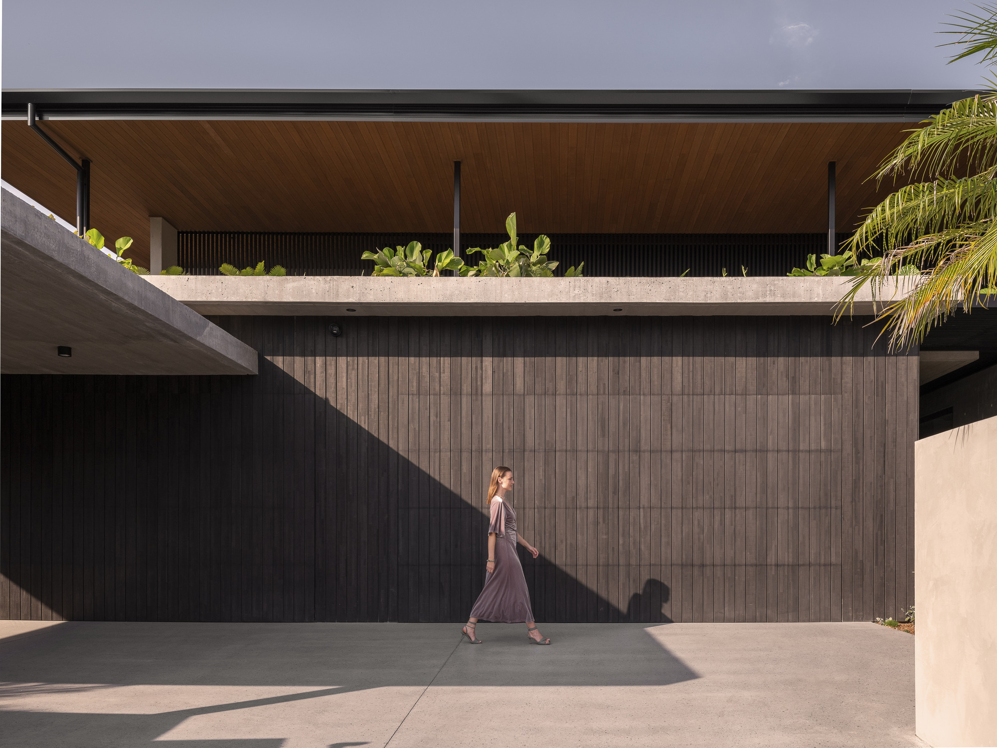 韦士柏之家丨澳大利亚丨Habitat Studio Architects-8