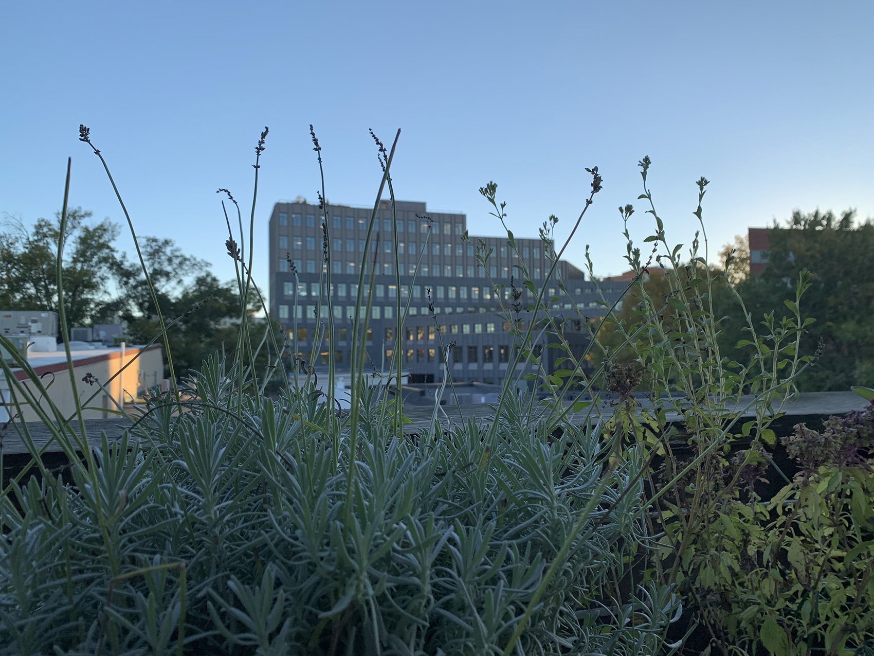 维吉尼亚州夏洛茨维尔企业家发展中心丨美国维吉尼亚丨EskewDumezRipple,WOLF ACKERMAN-125