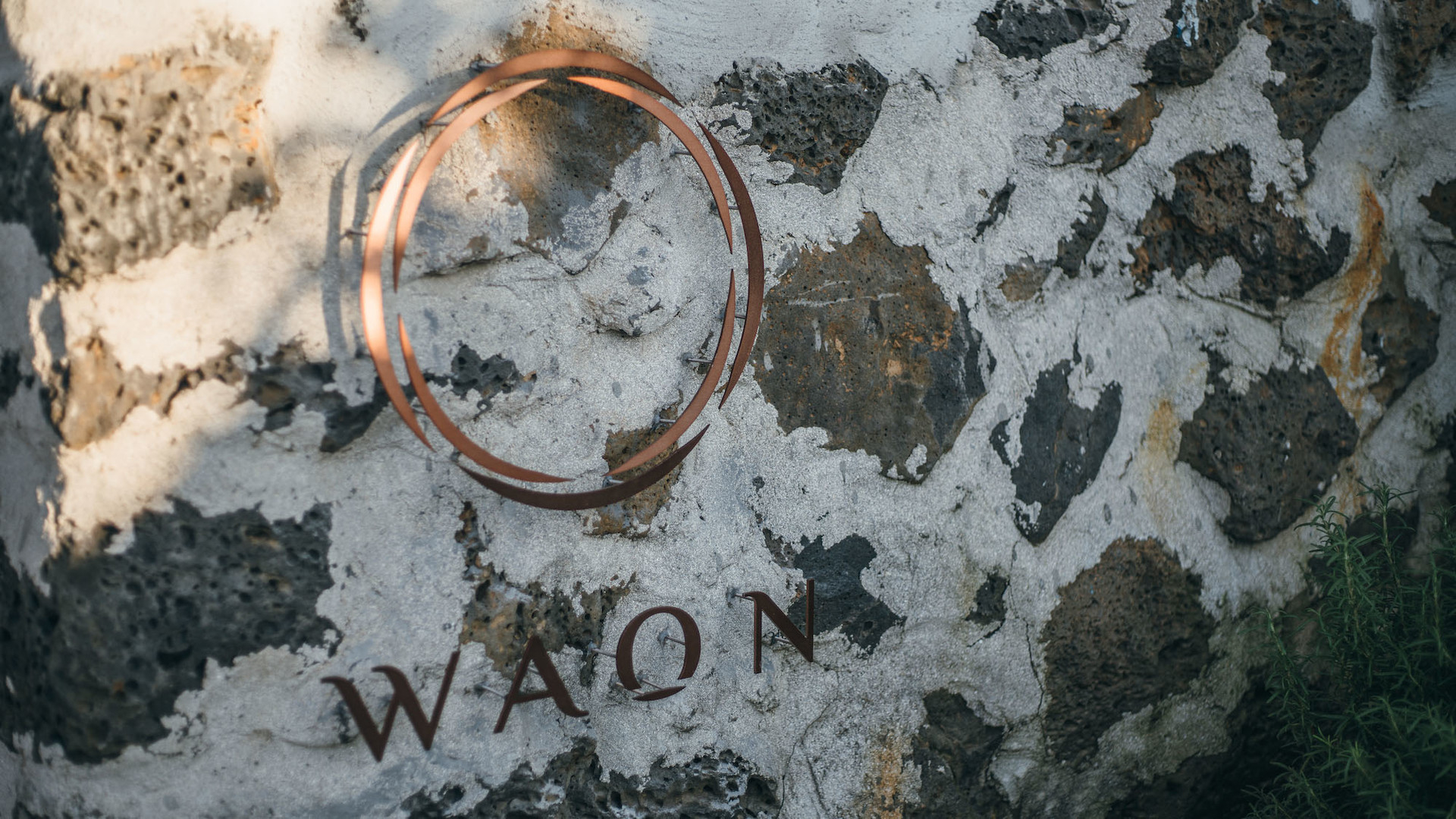 Z_Lab 设计 | WAON 治疗空间-51