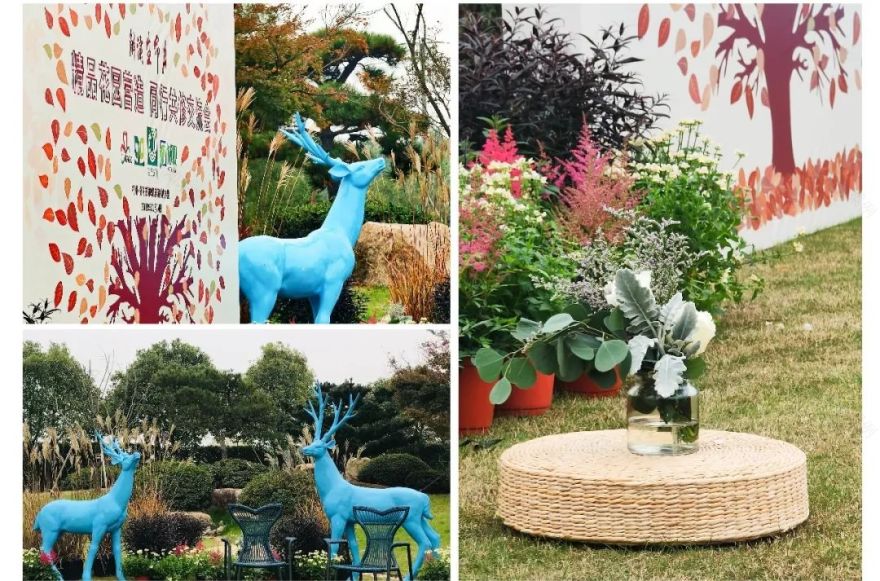 解读生命力——精品花园营造 同行共修交流会-5