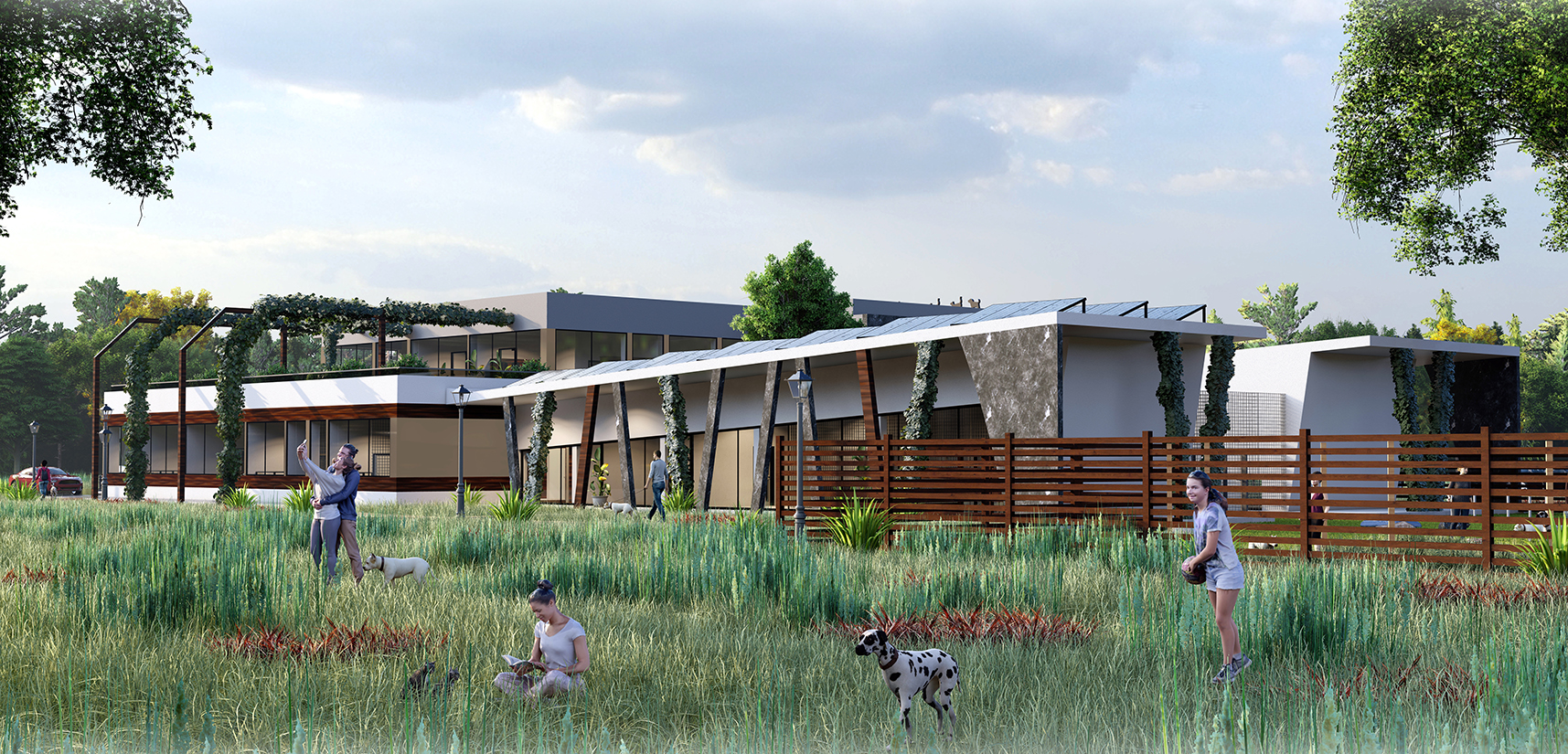 Veterinary clinic with a shelter for dogs and cats-5