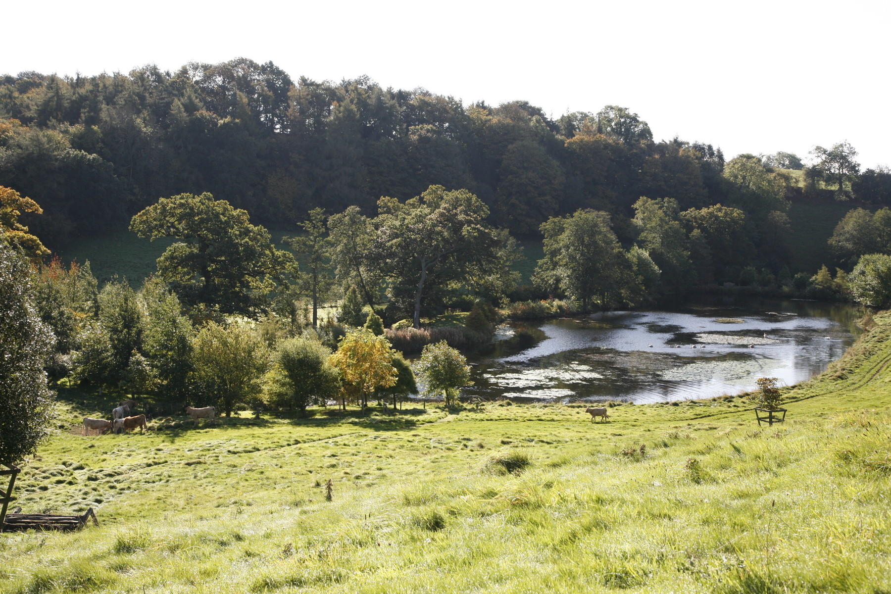 Brockhampton Cottages-5