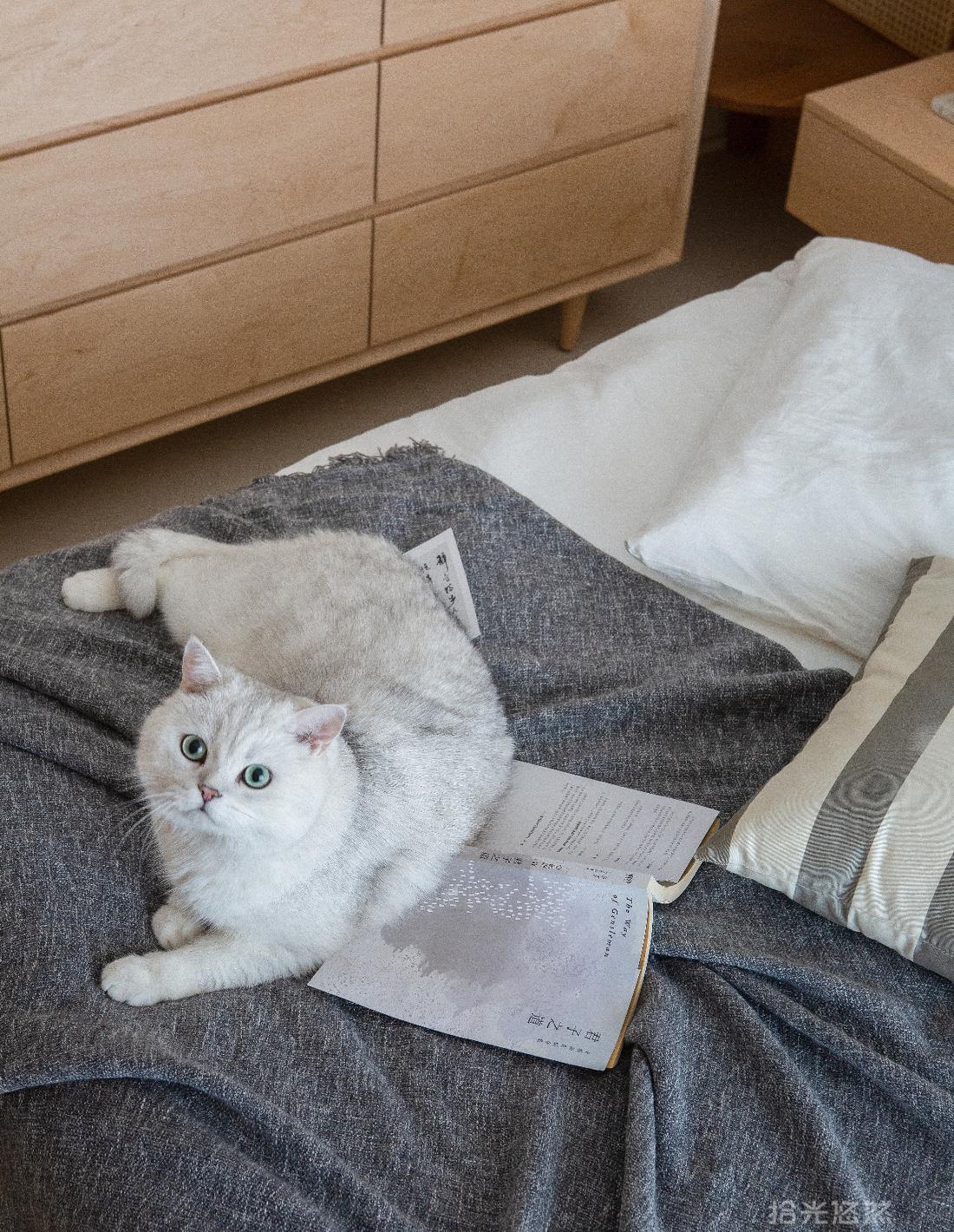 现代日式 · 森系生活-23