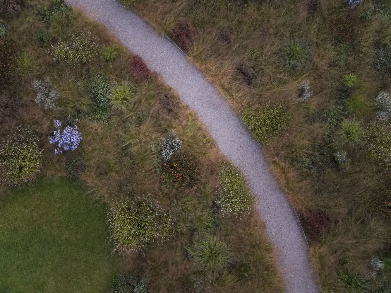 德国Vitra Oudolf花园丨Piet Oudolf-31