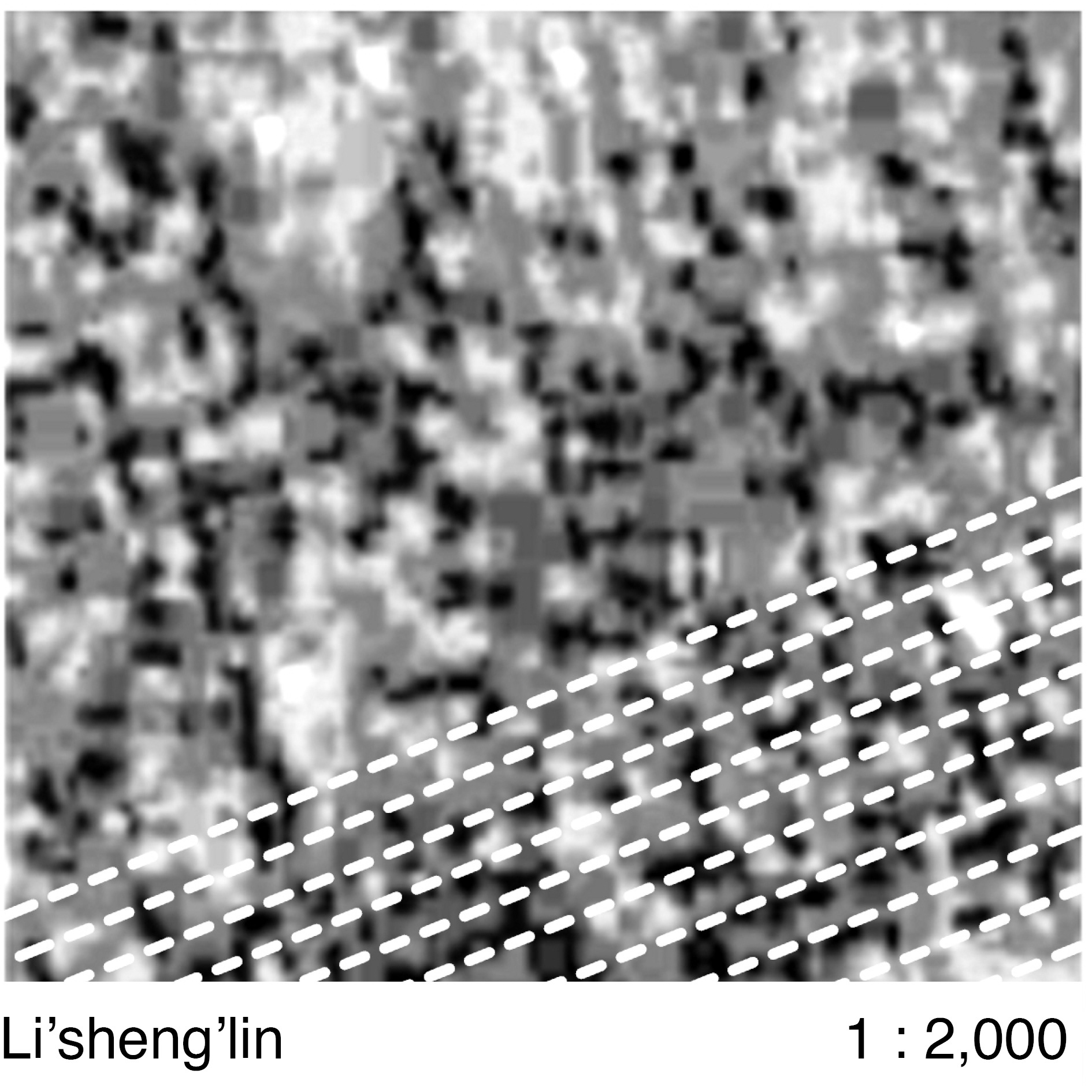 Debate on the 'Green': Shelterbelt Plantation-10
