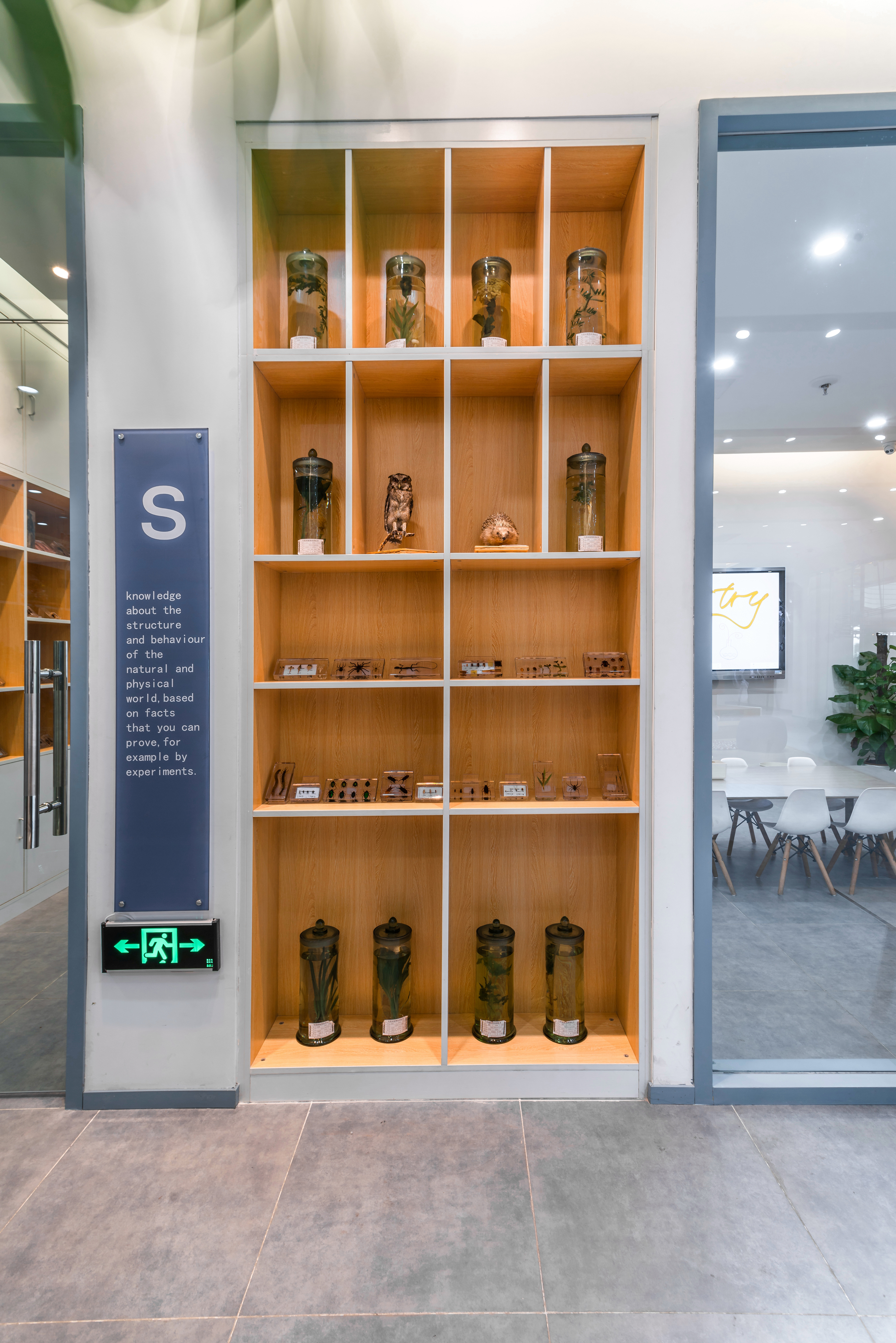 美国托特科学连锁教育中心 steam-苏州店（一淘设计机构）-15