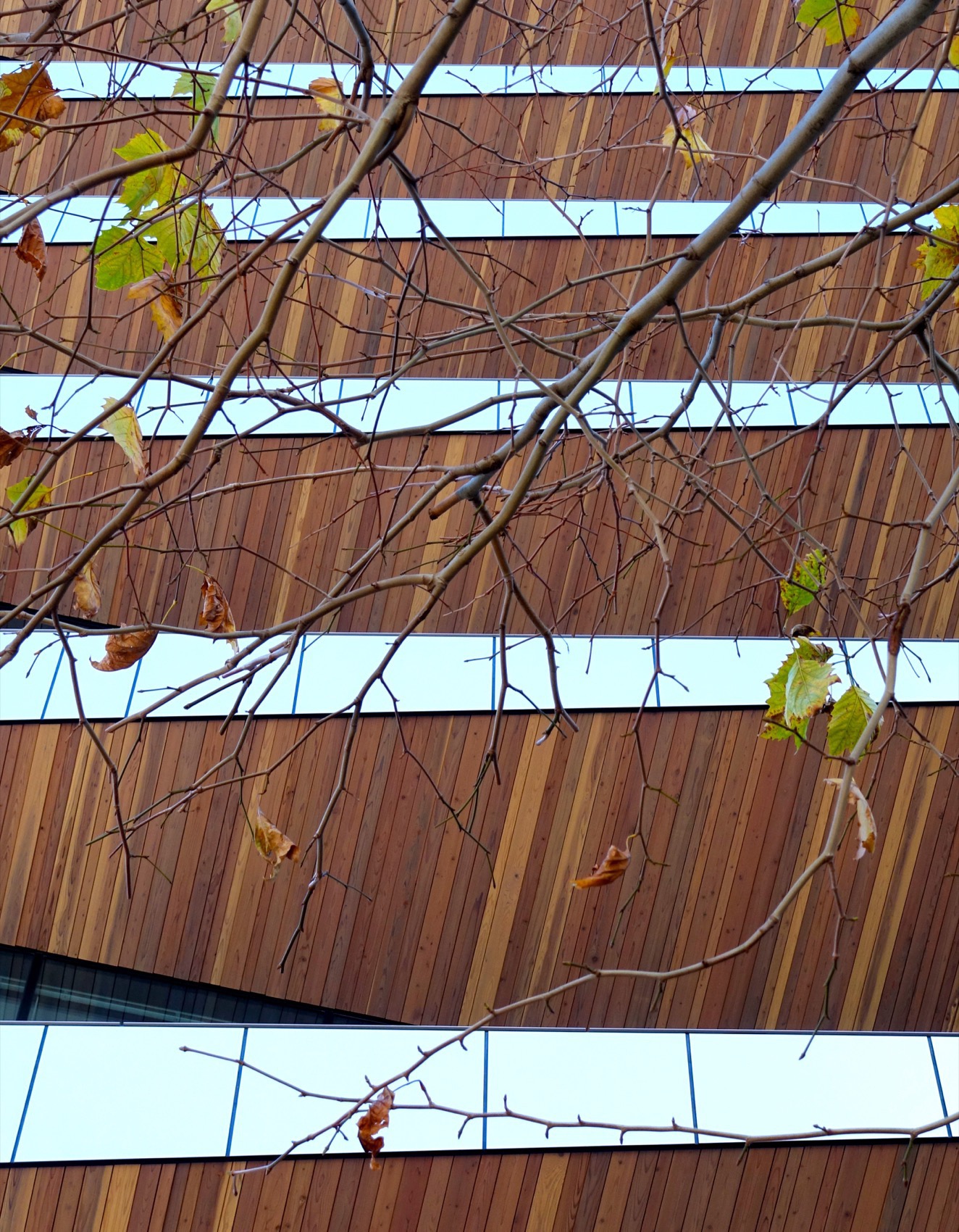 银泉西新桥大厦丨日本东京丨日建设计-25