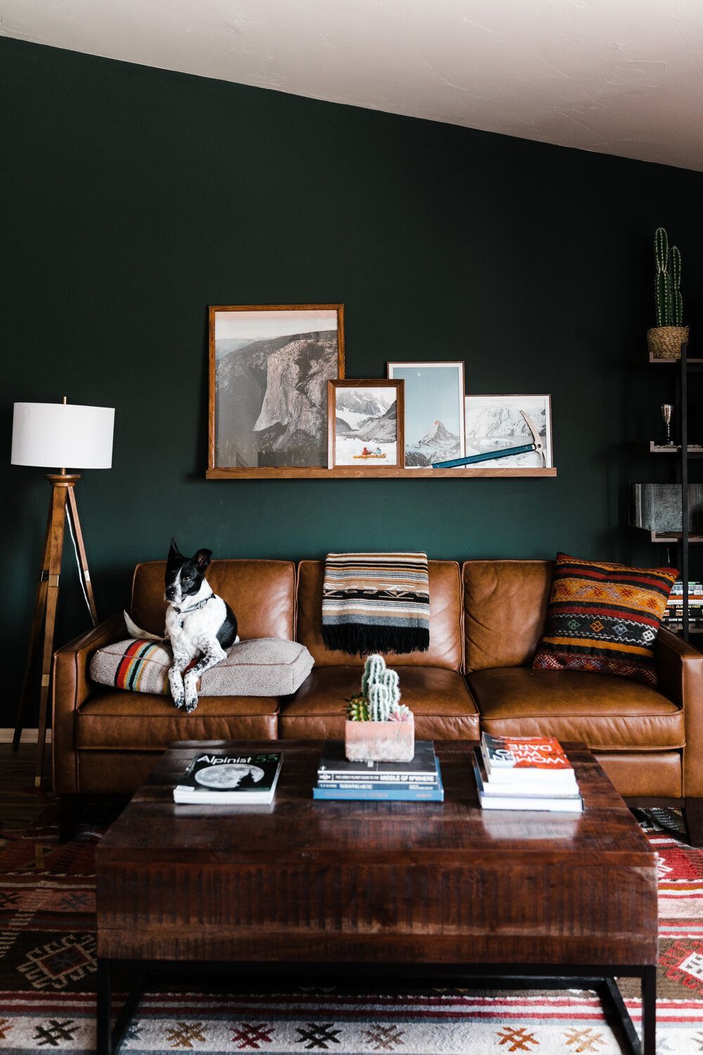 10 Color Combinations to Enhance Dark Green in Your Home-3