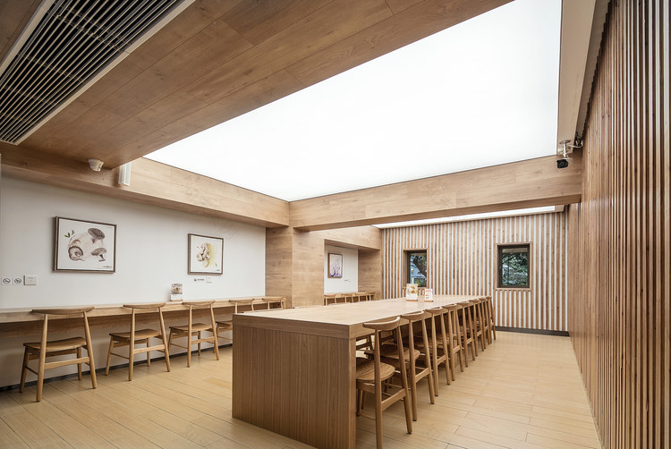 VII XII 餐厅区域设计 | 原木与半透明灯具的明亮空间-13