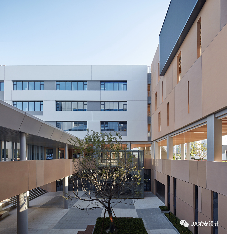 杭州师范大学附属竞潮小学及幼儿园丨中国杭州丨UA 尤安设计-31