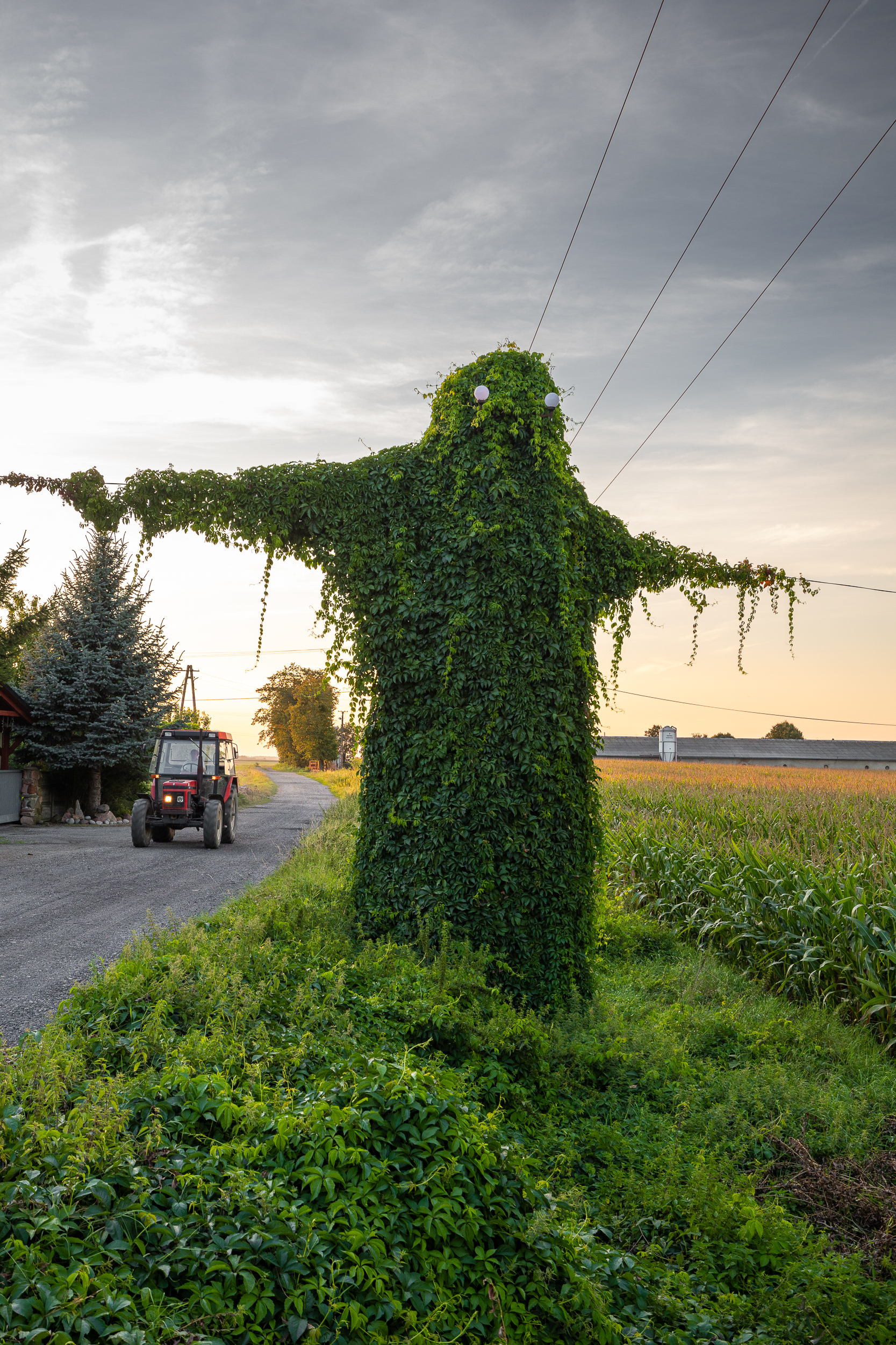 波兰奥波莱省“神秘生物”电线杆景点丨波兰波莱-10