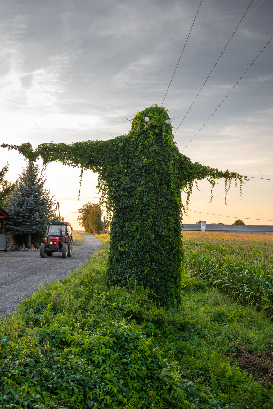 波兰奥波莱省“神秘生物”电线杆景点丨波兰波莱-10