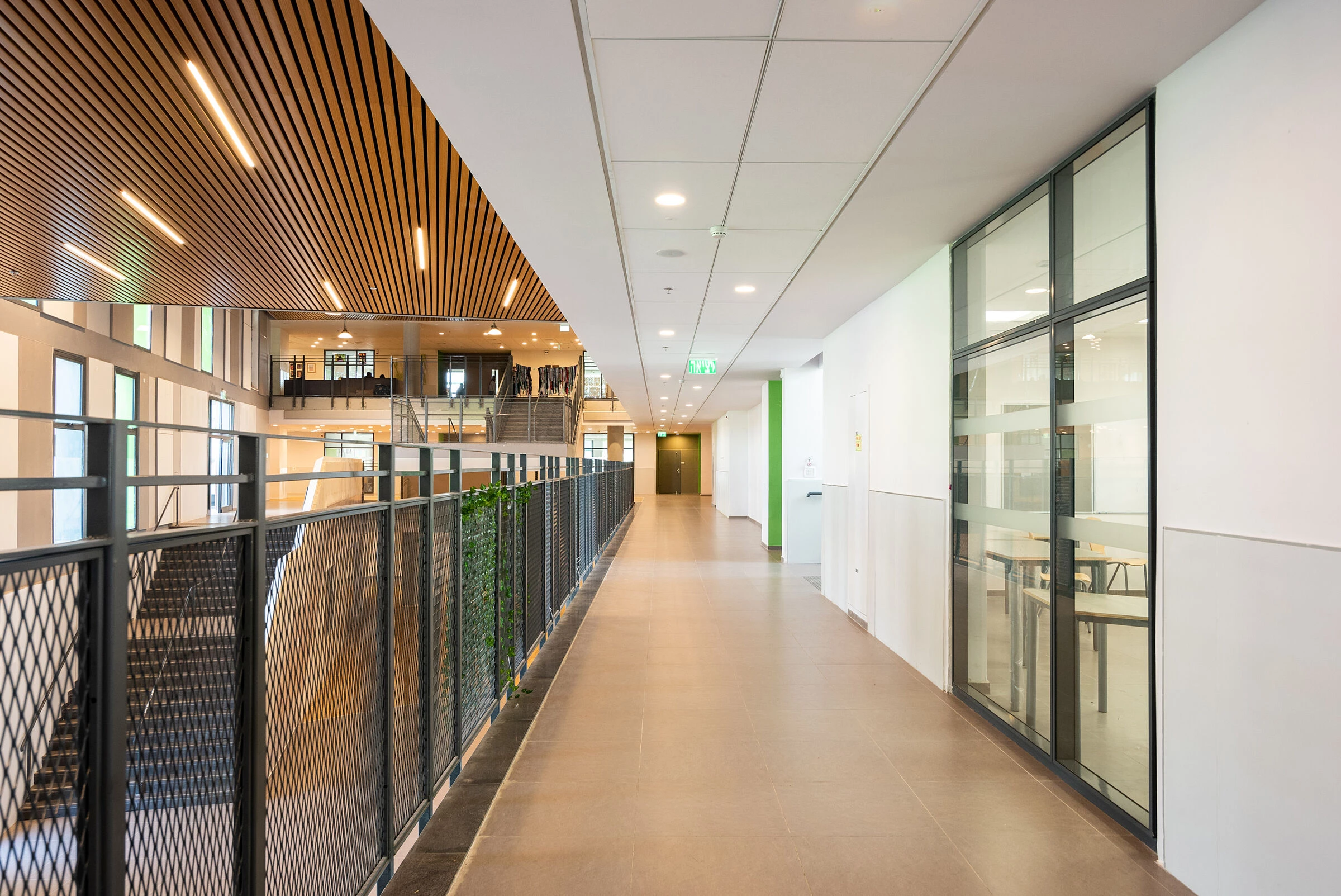 'Shikmim' 教育园区丨以色列丨Livay Dvoriansky architects-19