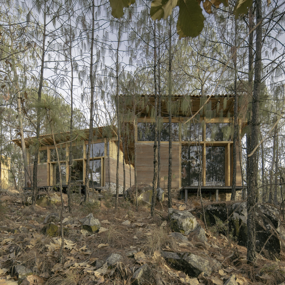 萤火虫之家丨墨西哥-27