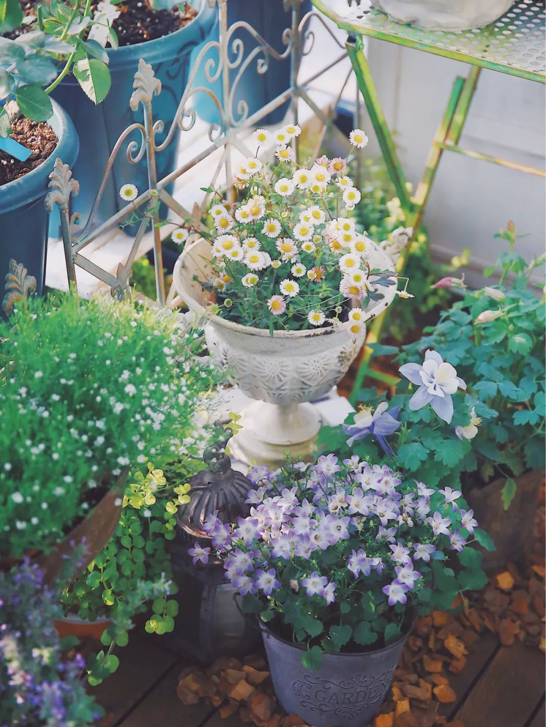 5㎡小阳台，打造治愈系小花园-19