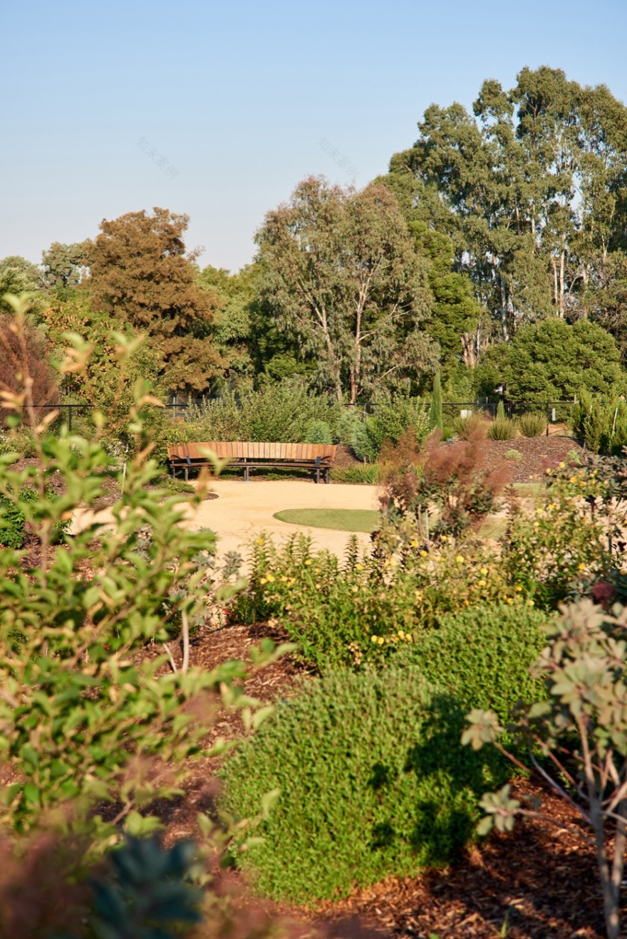 未来花园丨澳大利亚丨泰勒·卡利尔景观设计事务所-19