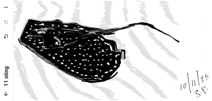 Inktober 2025数字绘画创作-27