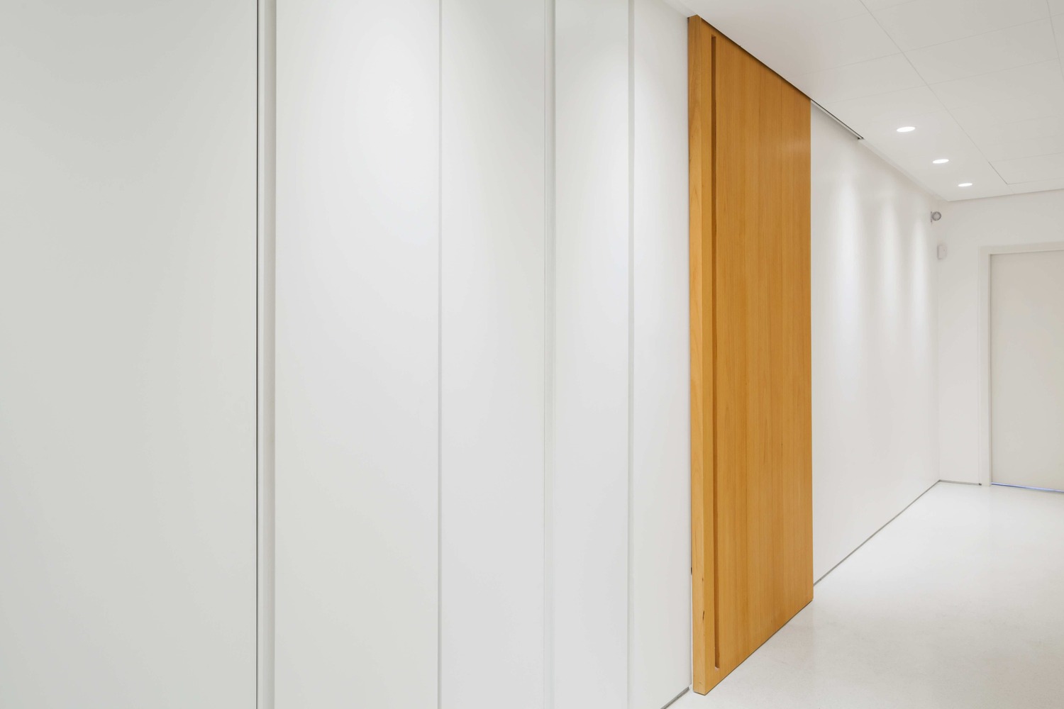 巴西 Campo Belo Residence 现代主义风格翻新-65