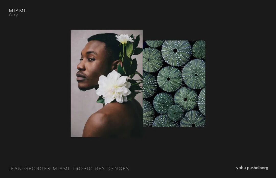 Miami Tropic Residences迈阿密奢华酒店式公寓丨美国迈阿密-2