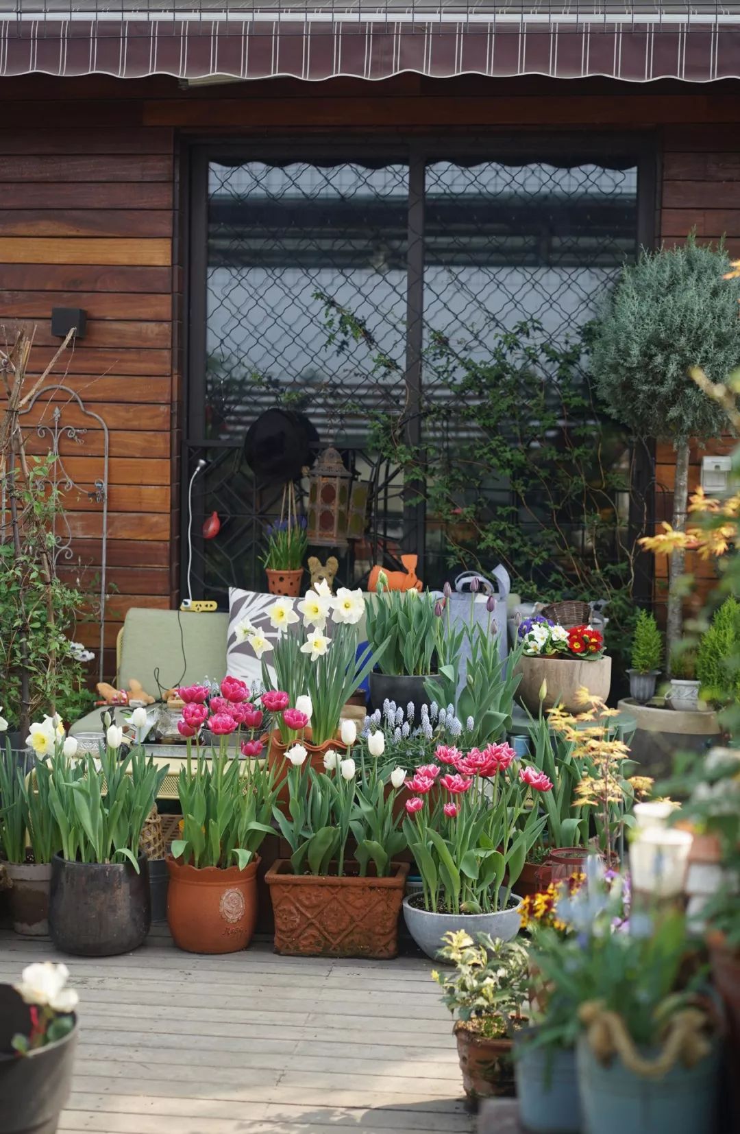 她在楼顶悄悄建了一座梦想花园，美翻了！这才是把日子过成诗的样子-216