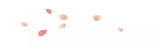 把春绿搬进家,莫负装修好时光-63