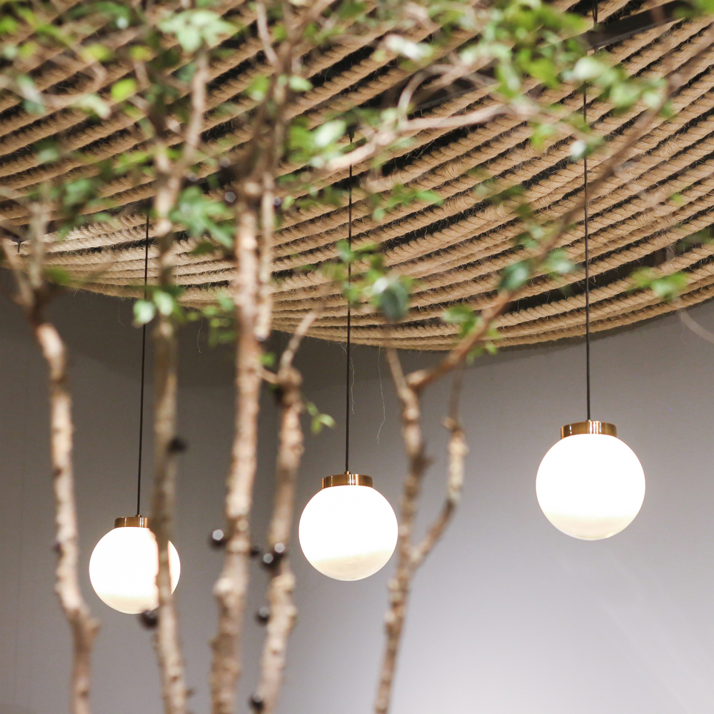 50 平米 Miligrão Store 的极致空间利用-6